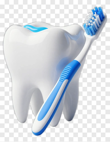 Tooth And Toothbrush PNG