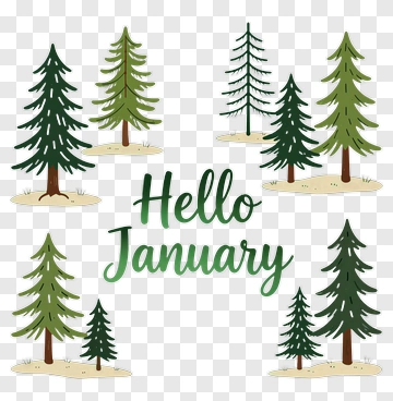 Pine Trees With Hello January Text PNG