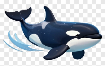 Cartoon Orca Swimming PNG