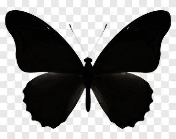 Black Butterfly Silhouette PNG