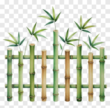 Bamboo Fence With Green Leaves PNG
