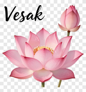 Lotus Flower For Vesak Celebration PNG