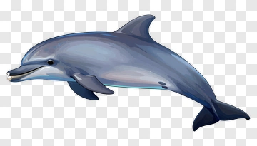 3D Dolphin Swimming PNG