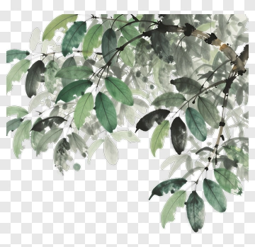 Watercolor Leaves Branch PNG