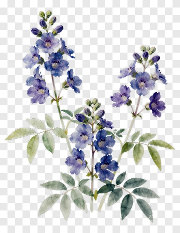 Watercolor Blue Flowers PNG