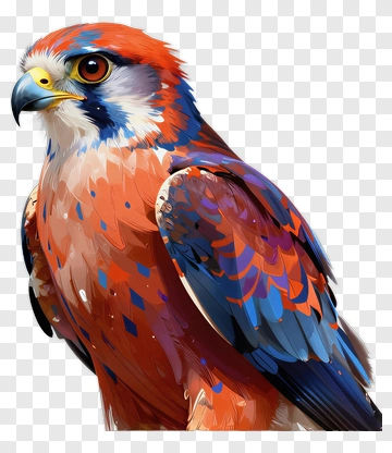 Colorful Bird With Blue And Orange Feathers PNG