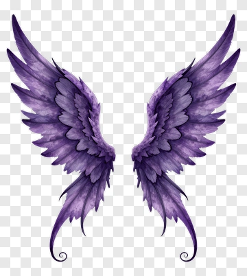 Purple Angel Wings PNG