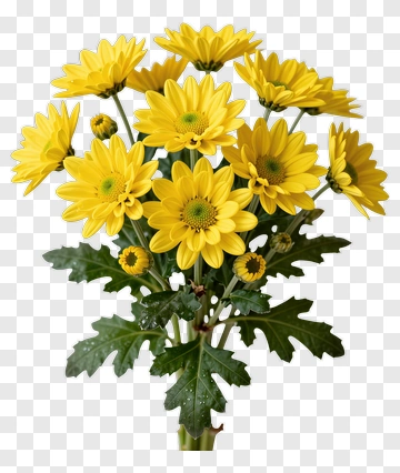 Bouquet Of Yellow Flowers PNG