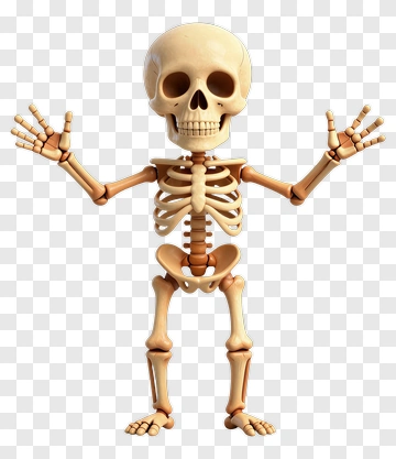 Cartoon Skeleton Standing With Open Arms PNG
