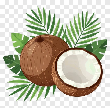 Coconut With Palm Leaves PNG