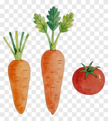 Watercolor Carrot And Tomato Illustration PNG