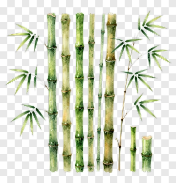 Bamboo Stalks And Leaves PNG