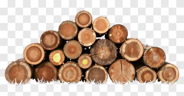 Stack Of Wooden Logs PNG