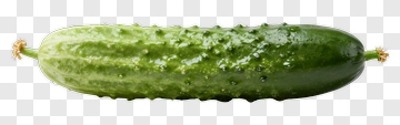 Fresh Green Cucumber PNG