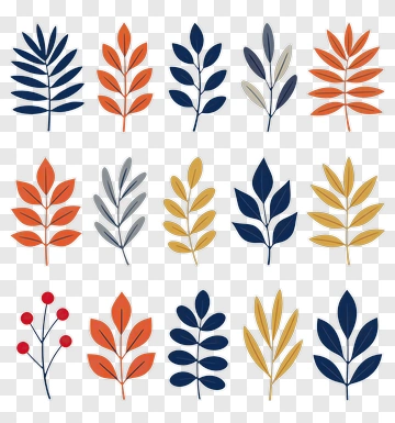 Colorful Leaf Illustrations PNG
