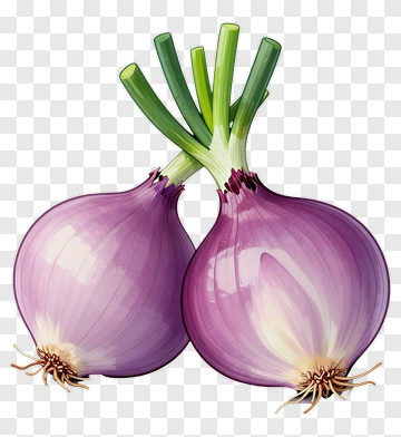 Purple Onions With Green Stems PNG