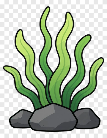 Cartoon Seaweed With Rocks PNG