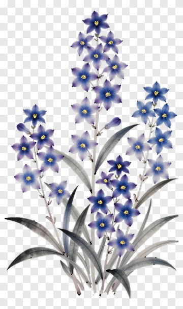 Colorful Flower Bouquet PNG