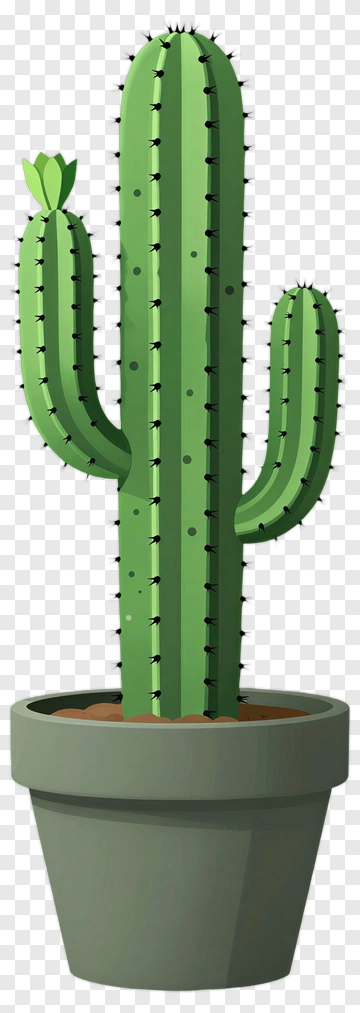 Green Cactus In A Pot PNG