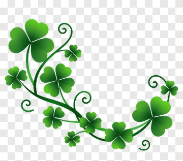 Green Shamrock Vine PNG
