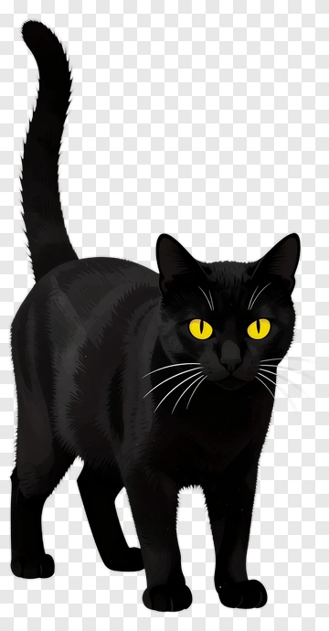 Black Cat With Yellow Eyes PNG