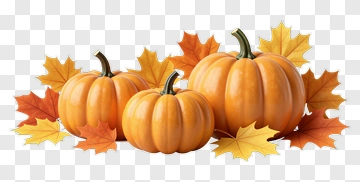 Pumpkins With Autumn Leaves PNG