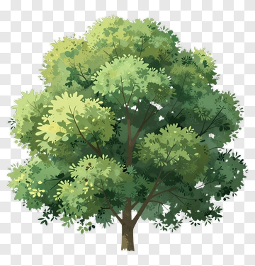 Colorful Tree PNG
