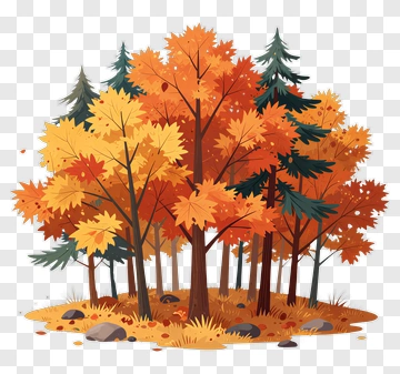 Colorful Autumn Forest PNG