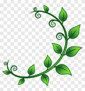 Green Leafy Vine PNG