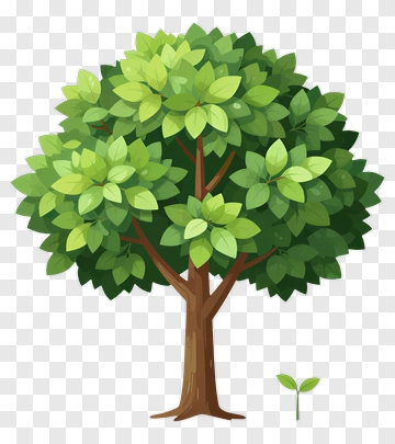 Colorful Tree With Green Leaves PNG