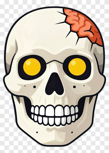 Cartoon Skull With Exposed Brain PNG