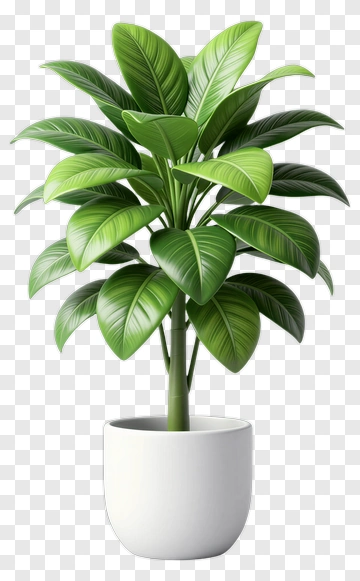 Green Potted Plant PNG