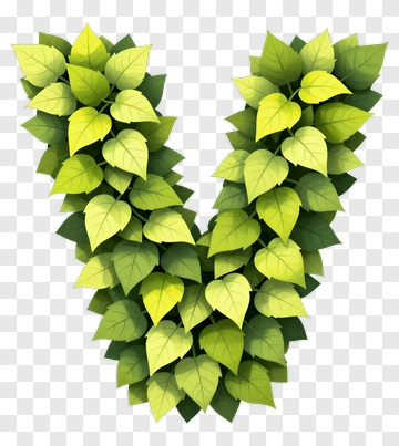 Green Leaf V Shape PNG