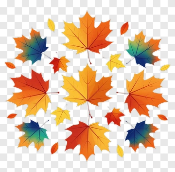 Colorful Autumn Leaves PNG