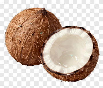 Coconut Half With Brown Shell PNG