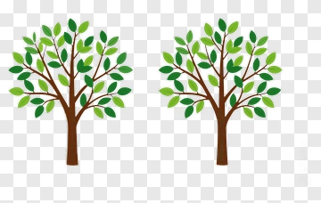 Colorful Trees With Green Leaves PNG