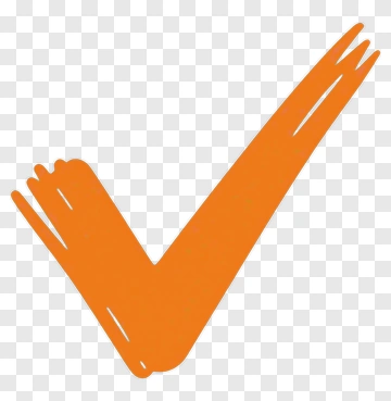 Orange Check Mark Icon PNG