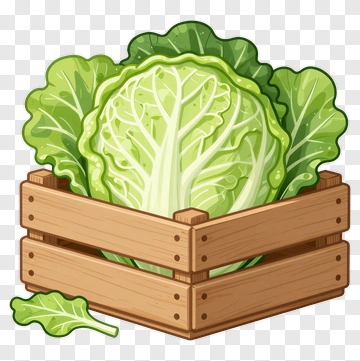 Fresh Cabbage In A Wooden Crate PNG