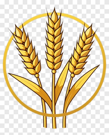 Golden Wheat Ears In Circle PNG