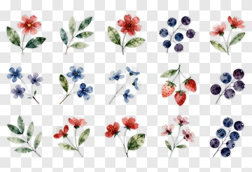 Watercolor Floral Collection With Various Flowers And Berries PNG