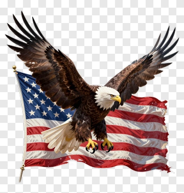 Eagle Flying Over American Flag PNG