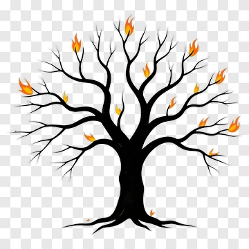 Tree With Flames PNG