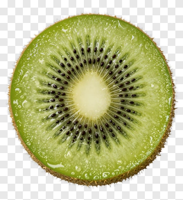 Fresh Kiwi Slice PNG
