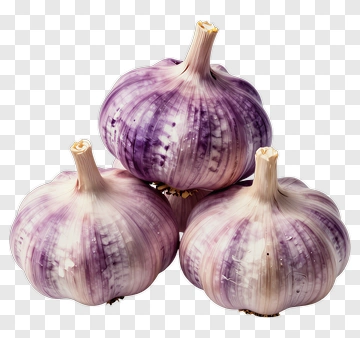 Purple Garlic Bulbs PNG
