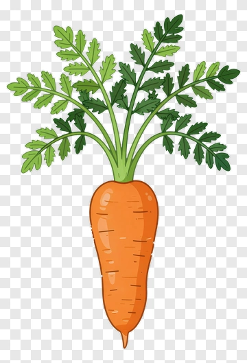 Cartoon Carrot With Green Leaves PNG