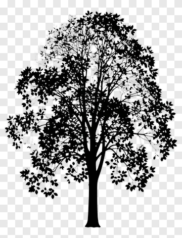 Silhouette Tree PNG