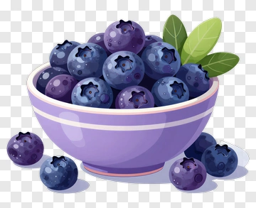 Purple Bowl Of Blueberries PNG