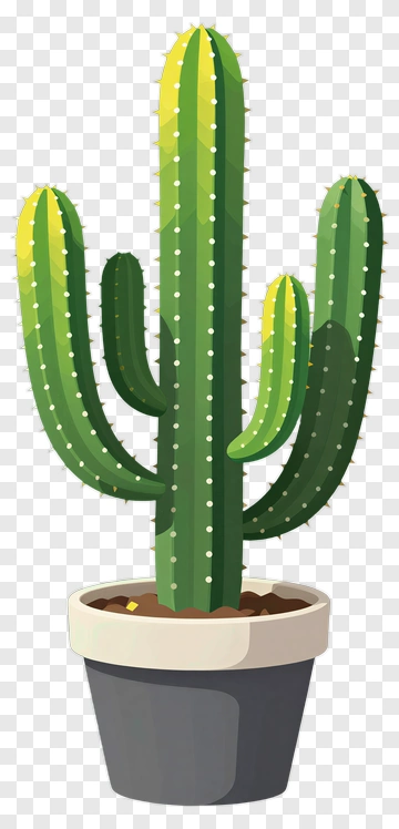 Cactus In A Pot PNG