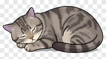 Sleeping Cat PNG