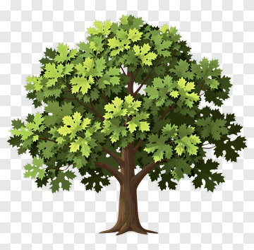 Colorful Tree PNG